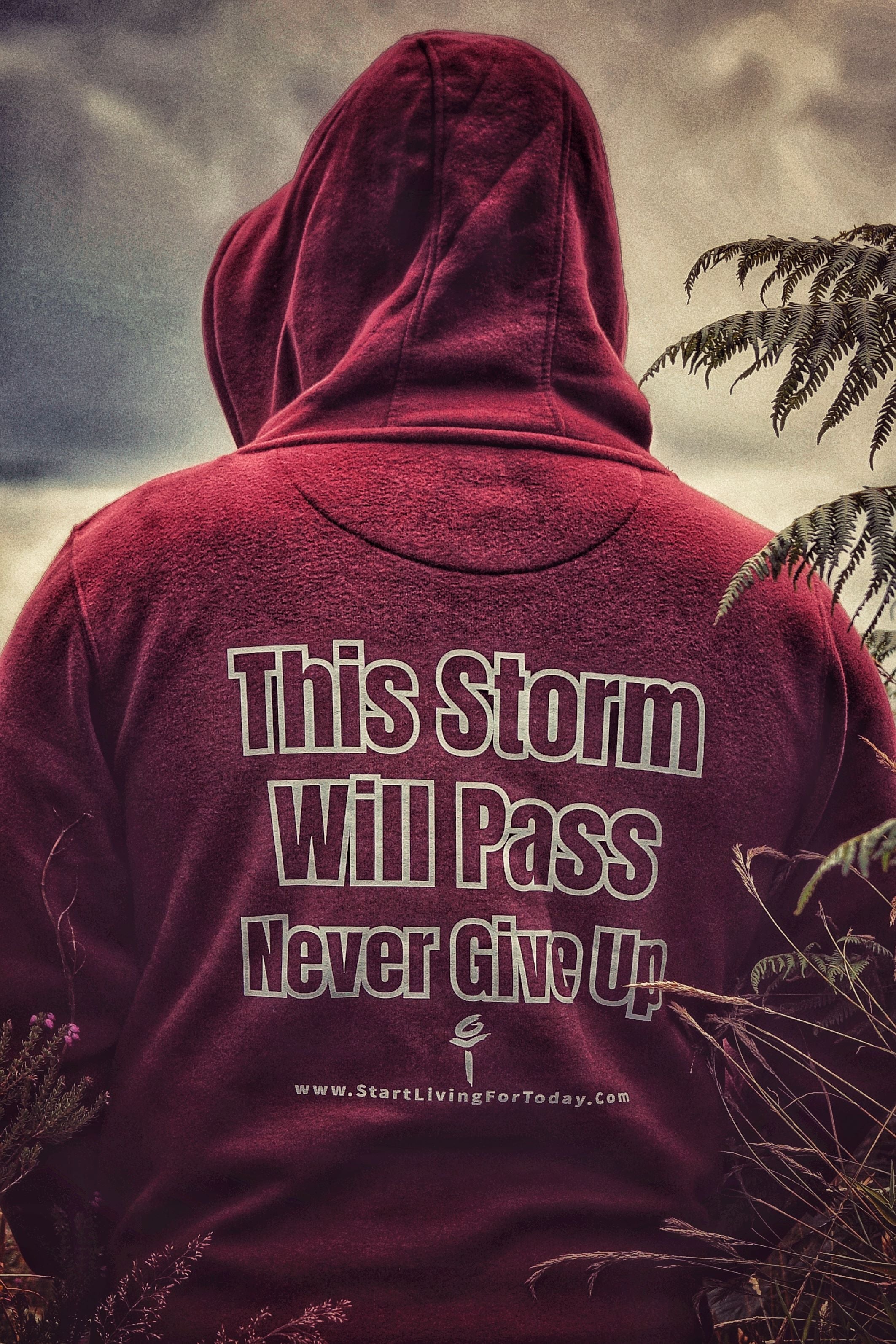 Maroon & Bottle Green - Ultra Premium, Super Soft Hoodie - Image 4